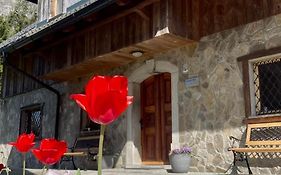 4 Elements Resort Bled
